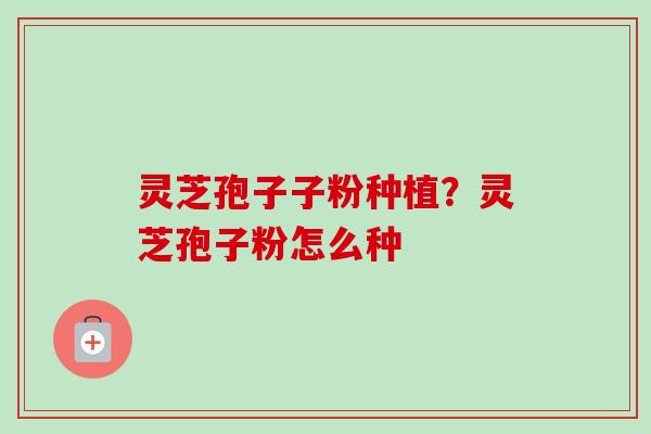 灵芝孢子子粉种植?灵芝孢子粉怎么种-第1张图片-卓越灵芝孢子粉 灵芝孢子子粉种植?灵芝孢子粉怎么种-第1张图片-卓越灵芝孢子粉