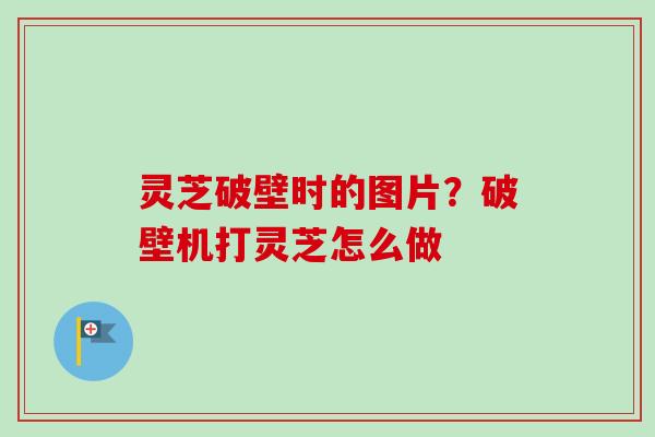 灵芝破壁时的图片?破壁机打灵芝怎么做-第1张图片-卓越灵芝孢子粉 灵芝破壁时的图片?破壁机打灵芝怎么做-第1张图片-卓越灵芝孢子粉