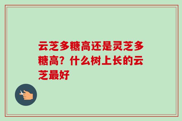 云芝多糖高还是灵芝多糖高?什么树上长的云芝最好-第1张图片-卓越灵芝孢子粉 云芝多糖高还是灵芝多糖高?什么树上长的云芝最好-第1张图片-卓越灵芝孢子粉