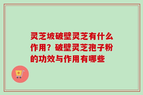 灵芝坡破壁灵芝有什么作用?破壁灵芝孢子粉的功效与作用有哪些-第1张图片-卓越灵芝孢子粉 灵芝坡破壁灵芝有什么作用?破壁灵芝孢子粉的功效与作用有哪些-第1张图片-卓越灵芝孢子粉
