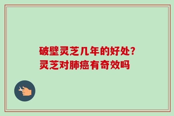 破壁灵芝几年的好处？灵芝对肺癌有奇效吗-第1张图片-卓越灵芝孢子粉