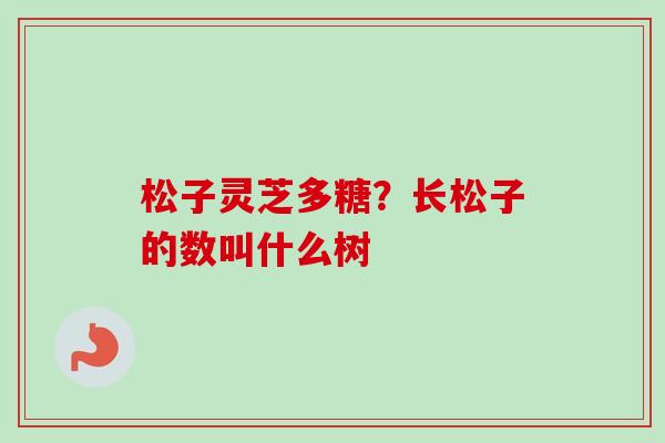 松子灵芝多糖？长松子的数叫什么树-第1张图片-卓越灵芝孢子粉