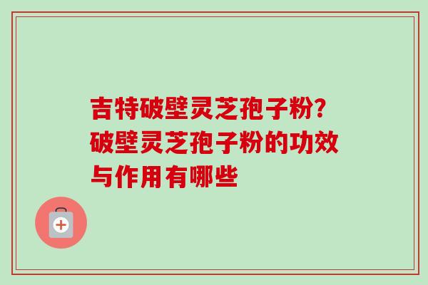 吉特破壁灵芝孢子粉?破壁灵芝孢子粉的功效与作用有哪些-第1张图片-卓越灵芝孢子粉 吉特破壁灵芝孢子粉?破壁灵芝孢子粉的功效与作用有哪些-第1张图片-卓越灵芝孢子粉