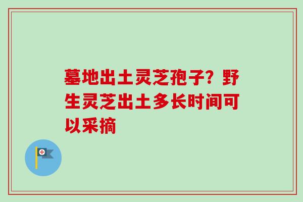 墓地出土灵芝孢子?野生灵芝出土多长时间可以采摘-第1张图片-卓越灵芝孢子粉 墓地出土灵芝孢子?野生灵芝出土多长时间可以采摘-第1张图片-卓越灵芝孢子粉