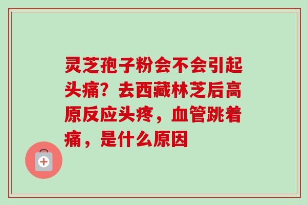 灵芝孢子粉会不会引起头痛？去西藏林芝后高原反应头疼，血管跳着痛，是什么原因-第1张图片-卓越灵芝孢子粉