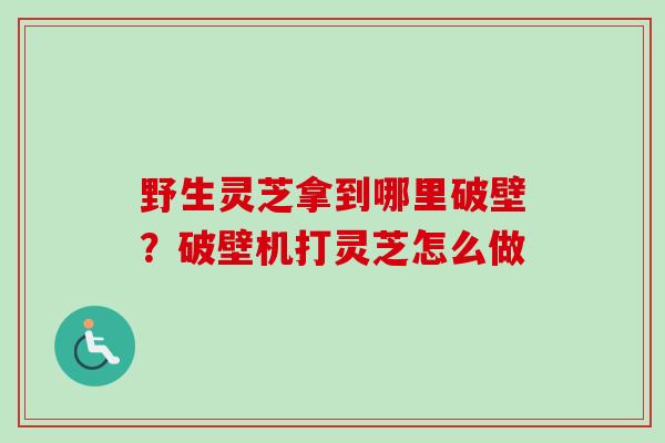 野生灵芝拿到哪里破壁？破壁机打灵芝怎么做-第1张图片-卓越灵芝孢子粉