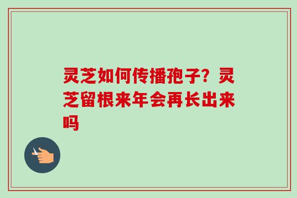 灵芝如何传播孢子?灵芝留根来年会再长出来吗-第1张图片-卓越灵芝孢子粉 灵芝如何传播孢子?灵芝留根来年会再长出来吗-第1张图片-卓越灵芝孢子粉