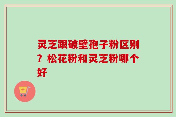 灵芝跟破壁孢子粉区别?松花粉和灵芝粉哪个好-第1张图片-卓越灵芝孢子粉 灵芝跟破壁孢子粉区别?松花粉和灵芝粉哪个好-第1张图片-卓越灵芝孢子粉