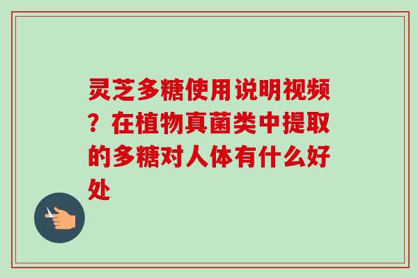 灵芝多糖使用说明视频?在植物真菌类中提取的多糖对人体有什么好处-第1张图片-卓越灵芝孢子粉 灵芝多糖使用说明视频?在植物真菌类中提取的多糖对人体有什么好处-第1张图片-卓越灵芝孢子粉