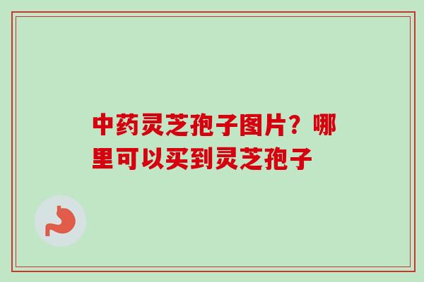 中药灵芝孢子图片?哪里可以买到灵芝孢子-第1张图片-卓越灵芝孢子粉 中药灵芝孢子图片?哪里可以买到灵芝孢子-第1张图片-卓越灵芝孢子粉