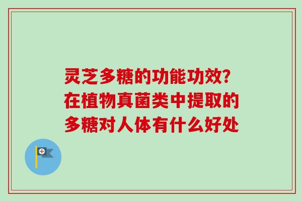 灵芝多糖的功能功效？在植物真菌类中提取的多糖对人体有什么好处-第1张图片-卓越灵芝孢子粉