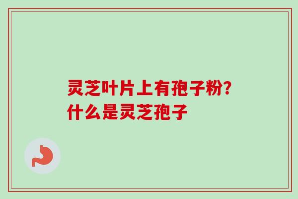 灵芝叶片上有孢子粉？什么是灵芝孢子-第1张图片-卓越灵芝孢子粉