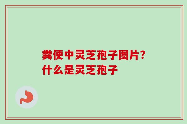 粪便中灵芝孢子图片？什么是灵芝孢子-第1张图片-卓越灵芝孢子粉