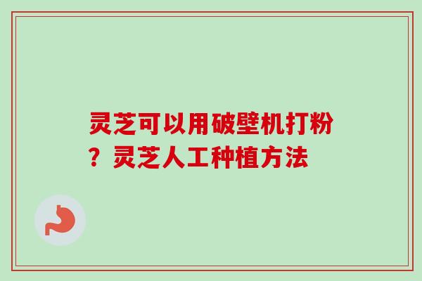 灵芝可以用破壁机打粉?灵芝人工种植方法-第1张图片-卓越灵芝孢子粉 灵芝可以用破壁机打粉?灵芝人工种植方法-第1张图片-卓越灵芝孢子粉
