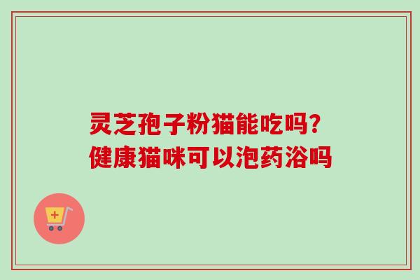 灵芝孢子粉猫能吃吗?健康猫咪可以泡药浴吗-第1张图片-卓越灵芝孢子粉 灵芝孢子粉猫能吃吗?健康猫咪可以泡药浴吗-第1张图片-卓越灵芝孢子粉