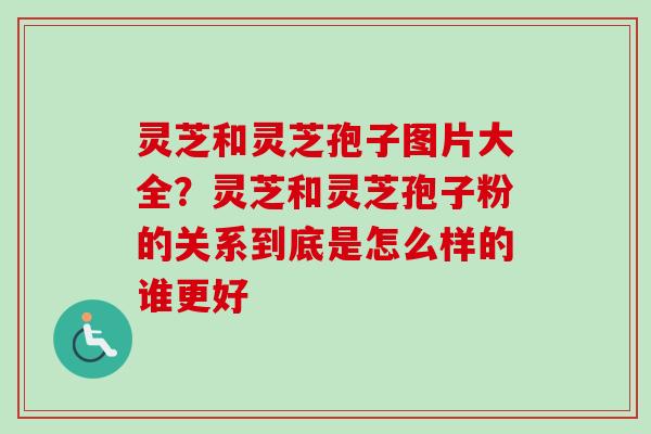 灵芝和灵芝孢子图片大全?灵芝和灵芝孢子粉的关系到底是怎么样的谁更好-第1张图片-卓越灵芝孢子粉 灵芝和灵芝孢子图片大全?灵芝和灵芝孢子粉的关系到底是怎么样的谁更好-第1张图片-卓越灵芝孢子粉