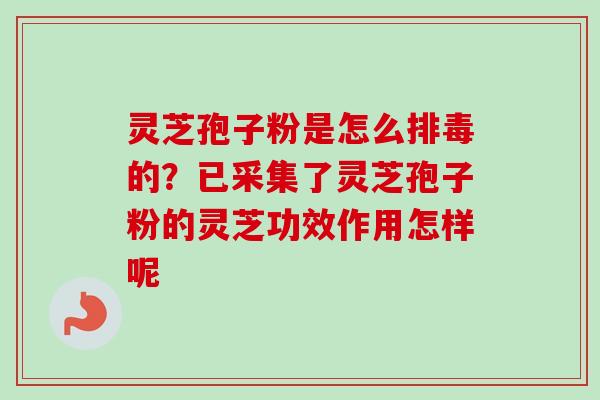 灵芝孢子粉是怎么排毒的?已采集了灵芝孢子粉的灵芝功效作用怎样呢-第1张图片-卓越灵芝孢子粉 灵芝孢子粉是怎么排毒的?已采集了灵芝孢子粉的灵芝功效作用怎样呢-第1张图片-卓越灵芝孢子粉
