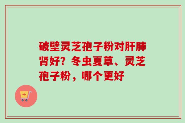 破壁灵芝孢子粉对肝肺肾好?冬虫夏草、灵芝孢子粉,哪个更好-第1张图片-卓越灵芝孢子粉 破壁灵芝孢子粉对肝肺肾好?冬虫夏草、灵芝孢子粉,哪个更好-第1张图片-卓越灵芝孢子粉