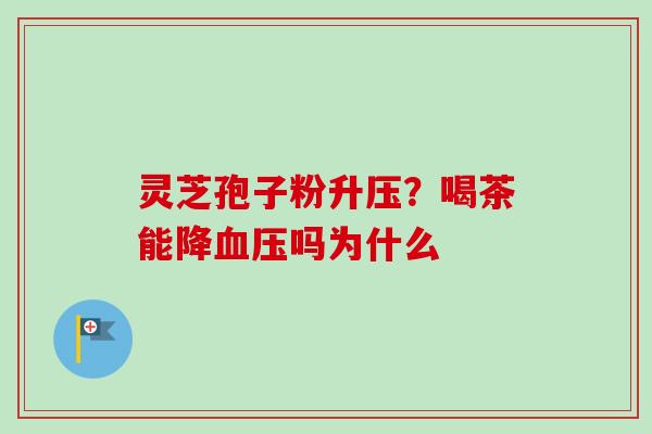 灵芝孢子粉升压？喝茶能降血压吗为什么-第1张图片-卓越灵芝孢子粉