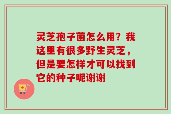 灵芝孢子菌怎么用?我这里有很多野生灵芝,但是要怎样才可以找到它的种子呢谢谢-第1张图片-卓越灵芝孢子粉 灵芝孢子菌怎么用?我这里有很多野生灵芝,但是要怎样才可以找到它的种子呢谢谢-第1张图片-卓越灵芝孢子粉