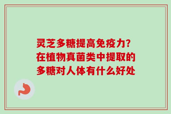 灵芝多糖提高免疫力?在植物真菌类中提取的多糖对人体有什么好处-第1张图片-卓越灵芝孢子粉 灵芝多糖提高免疫力?在植物真菌类中提取的多糖对人体有什么好处-第1张图片-卓越灵芝孢子粉