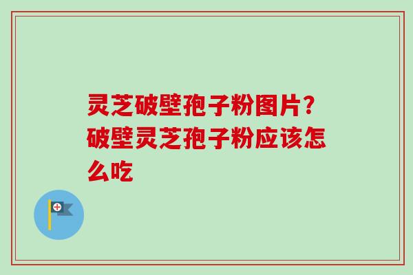 灵芝破壁孢子粉图片？破壁灵芝孢子粉应该怎么吃-第1张图片-卓越灵芝孢子粉