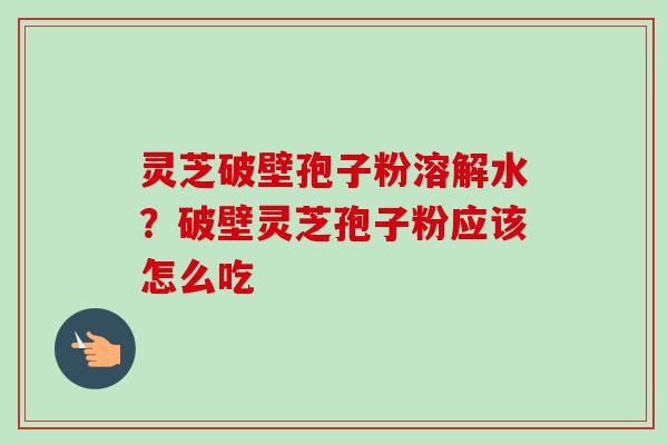 灵芝破壁孢子粉溶解水？破壁灵芝孢子粉应该怎么吃-第1张图片-卓越灵芝孢子粉