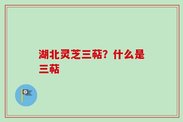 湖北灵芝三萜?什么是三萜-第1张图片-卓越灵芝孢子粉 湖北灵芝三萜?什么是三萜-第1张图片-卓越灵芝孢子粉