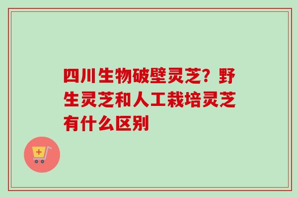 四川生物破壁灵芝?野生灵芝和人工栽培灵芝有什么区别-第1张图片-卓越灵芝孢子粉 四川生物破壁灵芝?野生灵芝和人工栽培灵芝有什么区别-第1张图片-卓越灵芝孢子粉