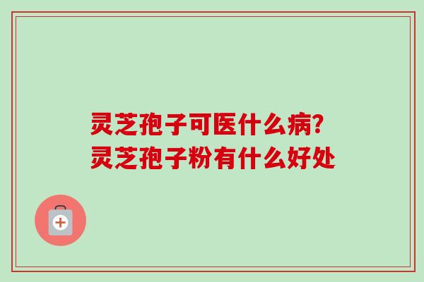 灵芝孢子可医什么病?灵芝孢子粉有什么好处-第1张图片-卓越灵芝孢子粉 灵芝孢子可医什么病?灵芝孢子粉有什么好处-第1张图片-卓越灵芝孢子粉