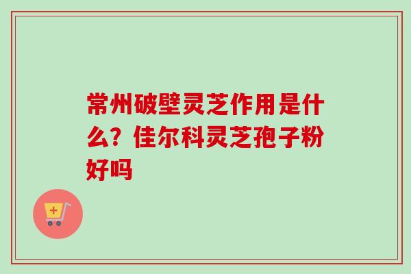 常州破壁灵芝作用是什么？佳尔科灵芝孢子粉好吗-第1张图片-卓越灵芝孢子粉