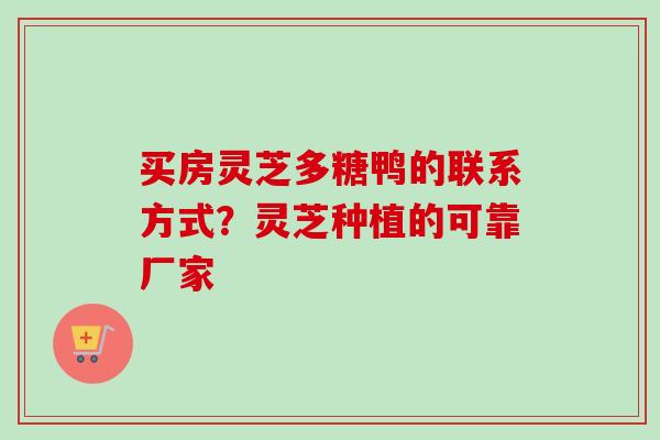 买房灵芝多糖鸭的联系方式?灵芝种植的可靠厂家-第1张图片-卓越灵芝孢子粉 买房灵芝多糖鸭的联系方式?灵芝种植的可靠厂家-第1张图片-卓越灵芝孢子粉