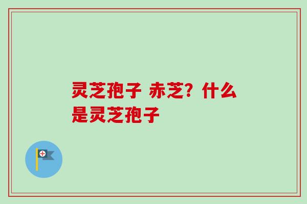 灵芝孢子 赤芝?什么是灵芝孢子-第1张图片-卓越灵芝孢子粉 灵芝孢子 赤芝?什么是灵芝孢子-第1张图片-卓越灵芝孢子粉