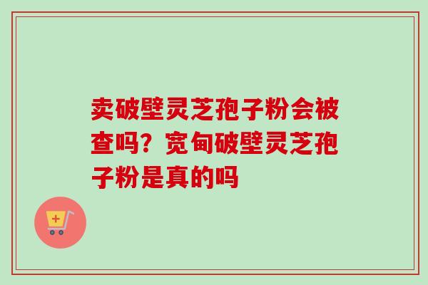 卖破壁灵芝孢子粉会被查吗？宽甸破壁灵芝孢子粉是真的吗-第1张图片-卓越灵芝孢子粉