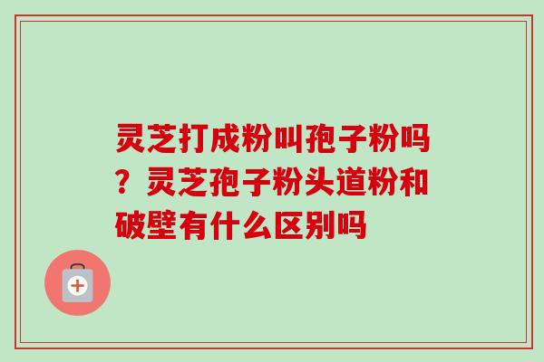 灵芝打成粉叫孢子粉吗？灵芝孢子粉头道粉和破壁有什么区别吗-第1张图片-卓越灵芝孢子粉