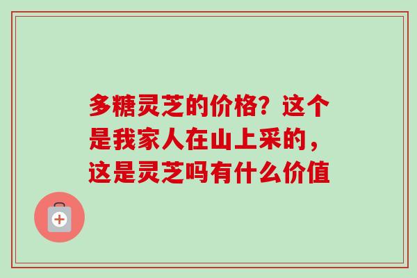 多糖灵芝的价格?这个是我家人在山上采的,这是灵芝吗有什么价值-第1张图片-卓越灵芝孢子粉 多糖灵芝的价格?这个是我家人在山上采的,这是灵芝吗有什么价值-第1张图片-卓越灵芝孢子粉