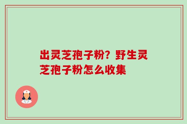 出灵芝孢子粉？野生灵芝孢子粉怎么收集-第1张图片-卓越灵芝孢子粉