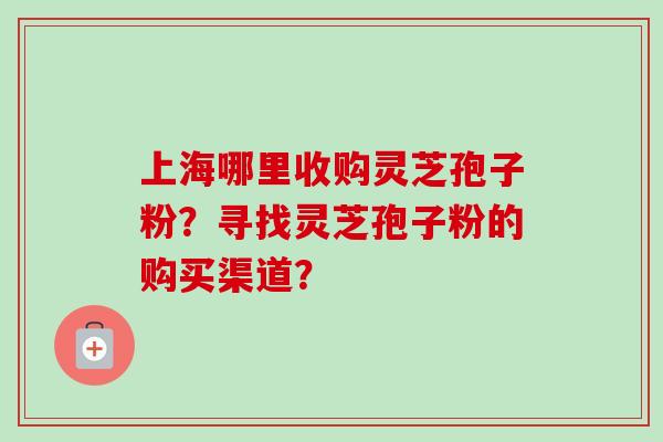 上海哪里收购灵芝孢子粉？寻找灵芝孢子粉的购买渠道？-第1张图片-卓越灵芝孢子粉