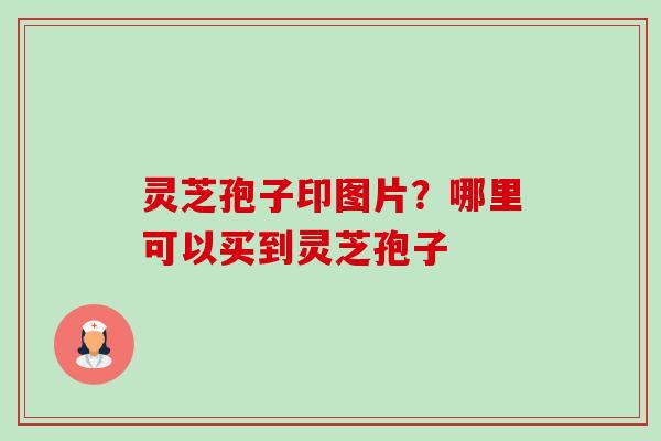灵芝孢子印图片？哪里可以买到灵芝孢子-第1张图片-卓越灵芝孢子粉