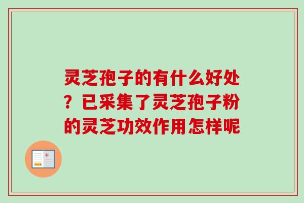 灵芝孢子的有什么好处?已采集了灵芝孢子粉的灵芝功效作用怎样呢-第1张图片-卓越灵芝孢子粉 灵芝孢子的有什么好处?已采集了灵芝孢子粉的灵芝功效作用怎样呢-第1张图片-卓越灵芝孢子粉