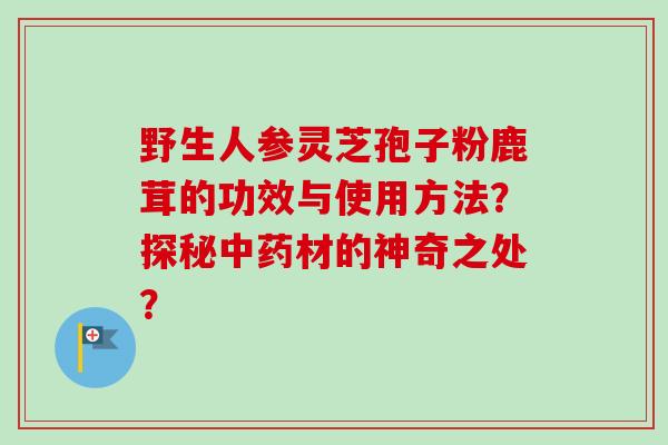 野生人参灵芝孢子粉鹿茸的功效与使用方法？探秘中药材的神奇之处？-第1张图片-卓越灵芝孢子粉