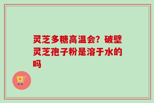 灵芝多糖高温会?破壁灵芝孢子粉是溶于水的吗-第1张图片-卓越灵芝孢子粉 灵芝多糖高温会?破壁灵芝孢子粉是溶于水的吗-第1张图片-卓越灵芝孢子粉