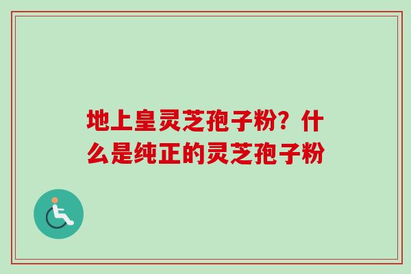 地上皇灵芝孢子粉?什么是纯正的灵芝孢子粉-第1张图片-卓越灵芝孢子粉 地上皇灵芝孢子粉?什么是纯正的灵芝孢子粉-第1张图片-卓越灵芝孢子粉