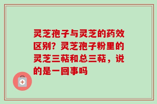 灵芝孢子与灵芝的药效区别？灵芝孢子粉里的灵芝三萜和总三萜，说的是一回事吗-第1张图片-卓越灵芝孢子粉
