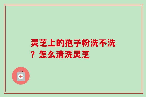 灵芝上的孢子粉洗不洗？怎么清洗灵芝-第1张图片-卓越灵芝孢子粉