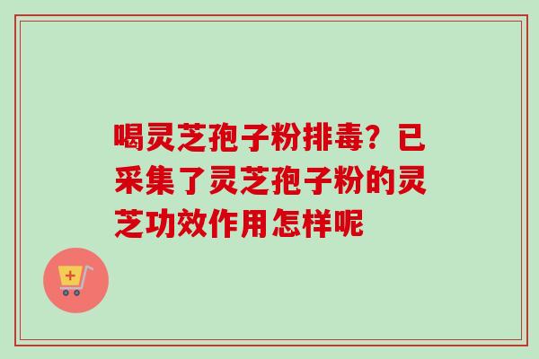 喝灵芝孢子粉排毒？已采集了灵芝孢子粉的灵芝功效作用怎样呢-第1张图片-卓越灵芝孢子粉