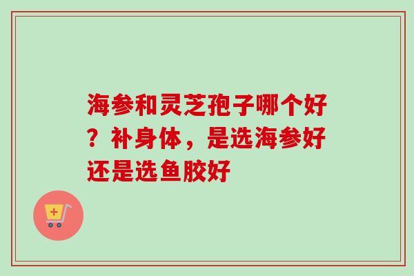 海参和灵芝孢子哪个好？补身体，是选海参好还是选鱼胶好-第1张图片-卓越灵芝孢子粉
