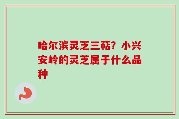 哈尔滨灵芝三萜?小兴安岭的灵芝属于什么品种-第1张图片-卓越灵芝孢子粉 哈尔滨灵芝三萜?小兴安岭的灵芝属于什么品种-第1张图片-卓越灵芝孢子粉