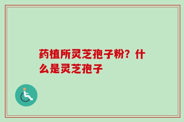 药植所灵芝孢子粉?什么是灵芝孢子-第1张图片-卓越灵芝孢子粉 药植所灵芝孢子粉?什么是灵芝孢子-第1张图片-卓越灵芝孢子粉