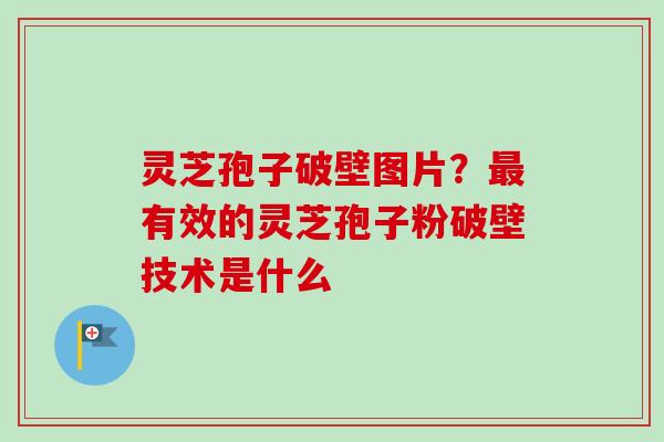 灵芝孢子破壁图片？最有效的灵芝孢子粉破壁技术是什么-第1张图片-卓越灵芝孢子粉